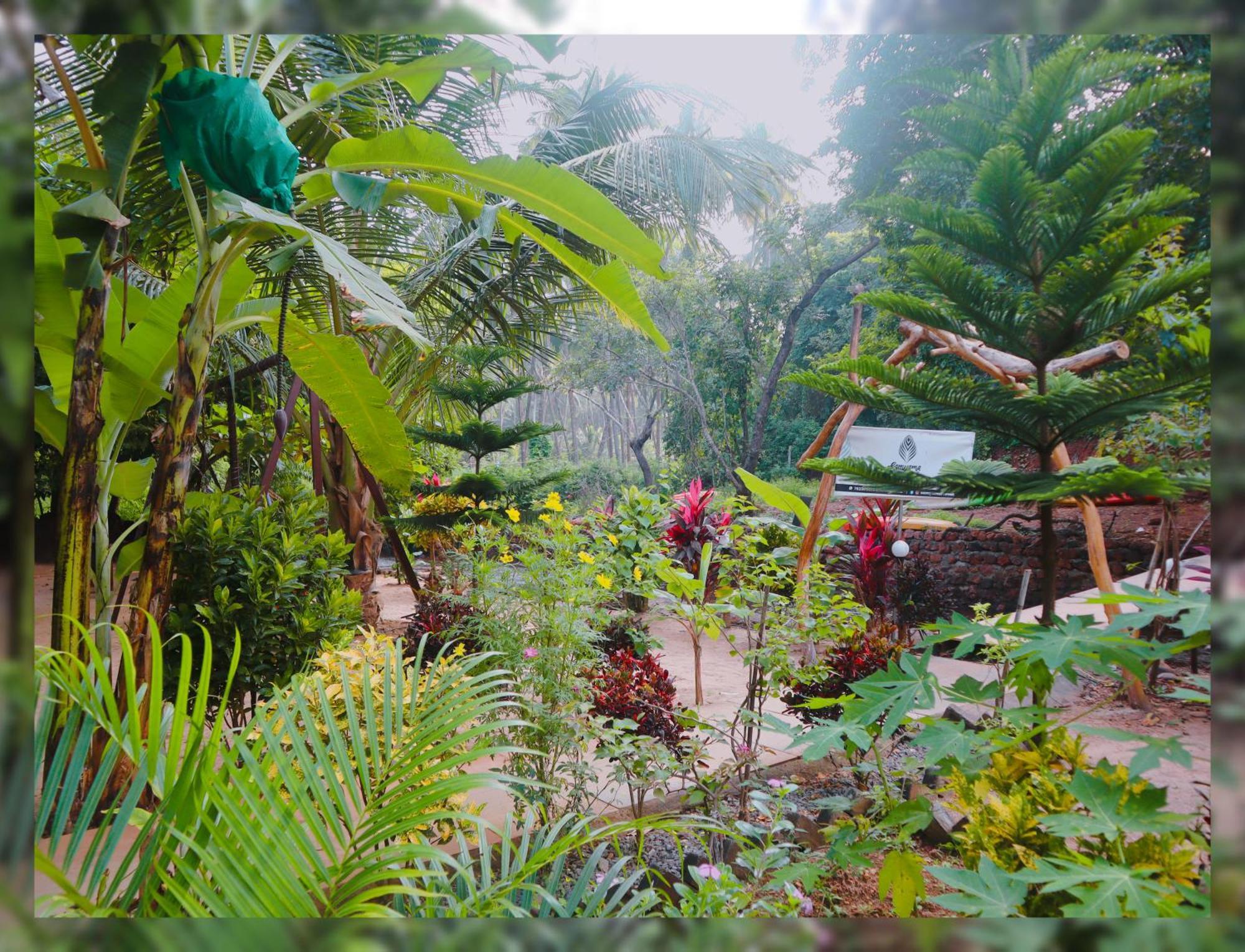 Samyama Retreat Hotel Cola Exterior photo