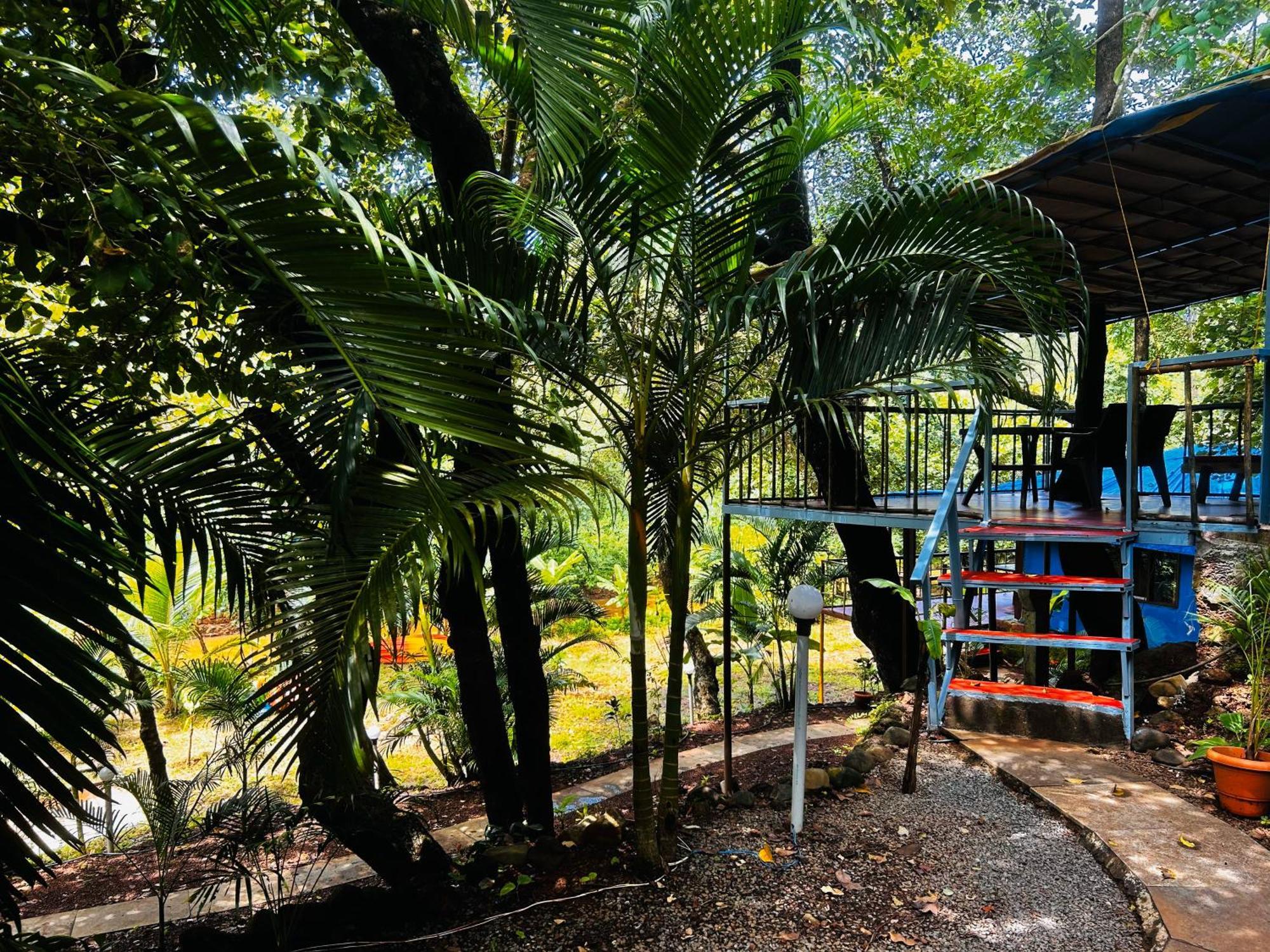 Samyama Retreat Hotel Cola Exterior photo